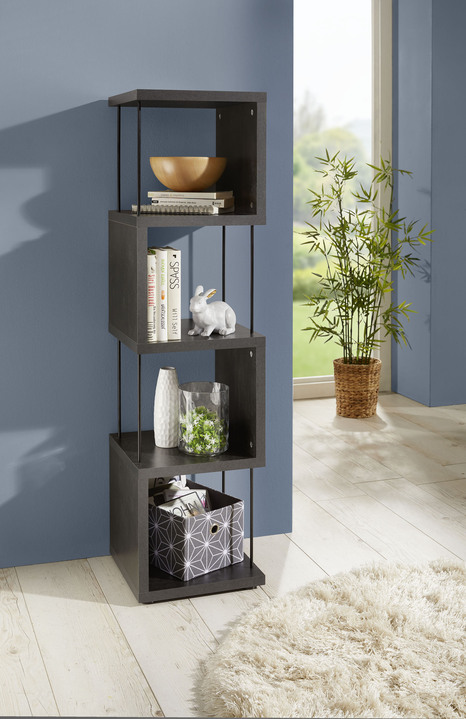 Regale - Standregal,ideal auch als Raumteiler, in Farbe ASTEICHE, in Ausführung Standregal, schmal, 2 Ablagefächer Ansicht 4