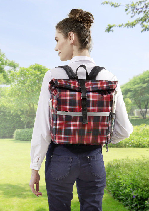 - Einkaufstrolley mit Rucksack, in Farbe ROT-SCHWARZ-ANTIKGRAU Ansicht 3