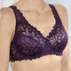 - Bügel-BH aus hübscher Elastikspitze, in Größe 075 bis 105, in Cup B, in Farbe AUBERGINE – Farbe AUBERGINE – Ansicht 2