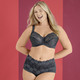 Slips - Miss Mary Miederslip mit unterlegter Elastikspitze im Vorderteil – Farbe GRAFIT – Ansicht 2 Slips - Miss Mary Miederslip mit unterlegter Elastikspitze im Vorderteil, in Größe 038 bis 056, in Farbe ROT – Farbe GRAFIT – Ansicht 2