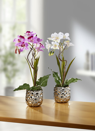 Orchideen-Gesteck im Keramiktopf