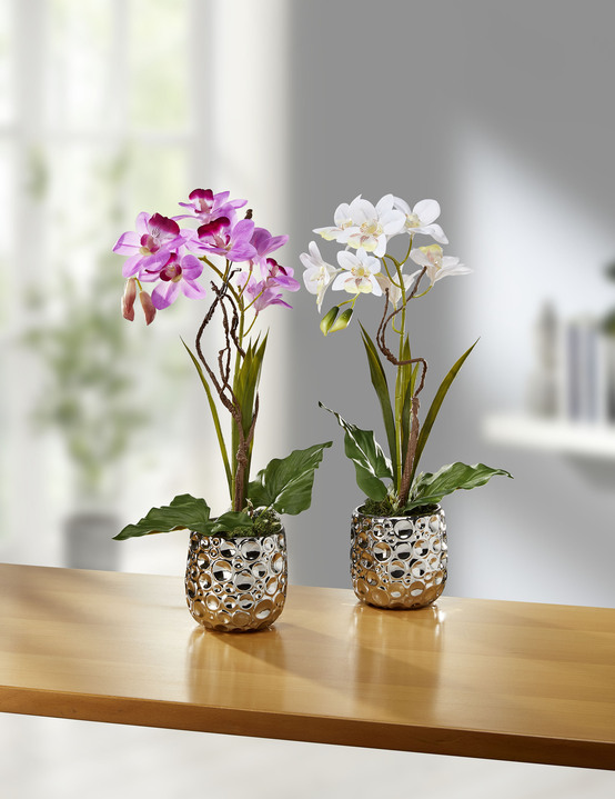 Kunst- & Textilpflanzen - Orchideen-Gesteck im Keramiktopf, in Farbe CREME