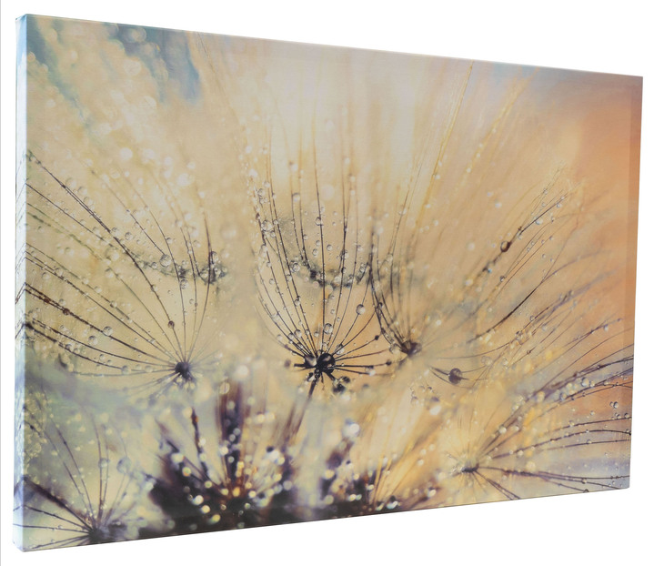 Blumen - Leinwand Bild mit Zertifikat, in Farbe BUNT