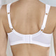 Soft-BH - BH mit Elastikspitze, in Größe 080 bis 110, in Cup E, in Farbe WEISS – Farbe WEISS – Ansicht 2