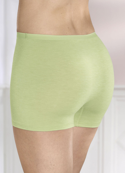 Schlüpfer - Sylvia Speidel Zweierpack Pants, atmungsaktiv, in Größe 038 bis 048, in Farbe 2X PISTAZIE MELIERT Ansicht 2