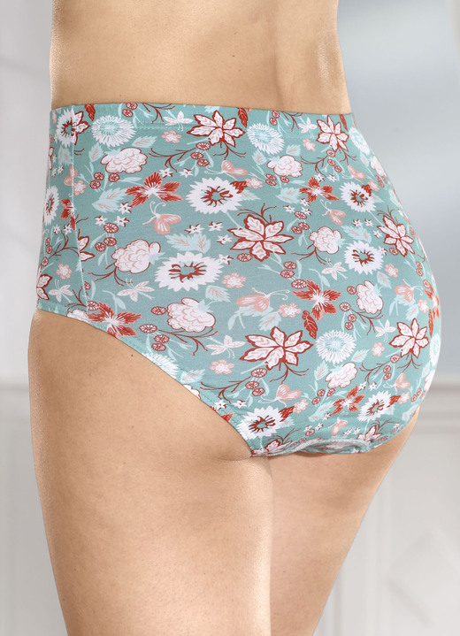 - Viererpack Slips mit Gummizug im Bund, in Größe 038 bis 056, in Farbe LAGUNE-TERRA-WEISS Ansicht 2