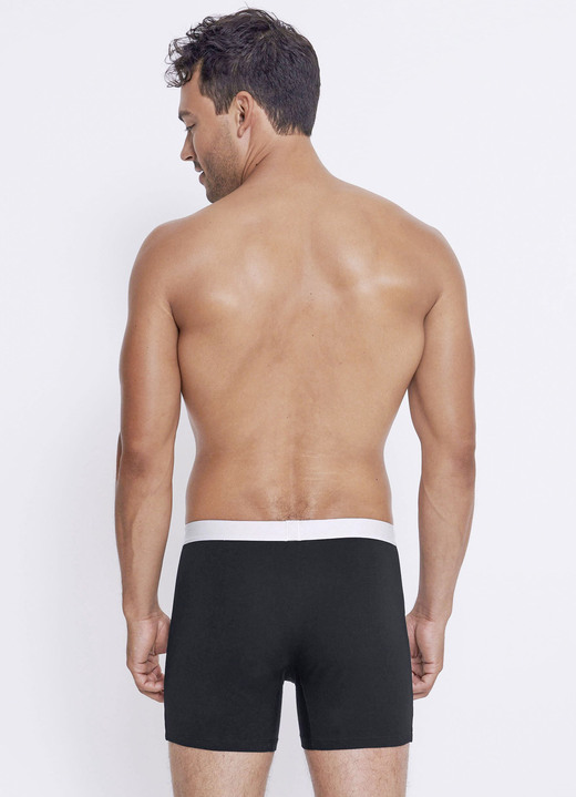 Pants & Boxershorts - Sloggi, Zweierpack Pants mit Elastikbund, in Größe L bis XXL, in Farbe SCHWARZ Ansicht 3