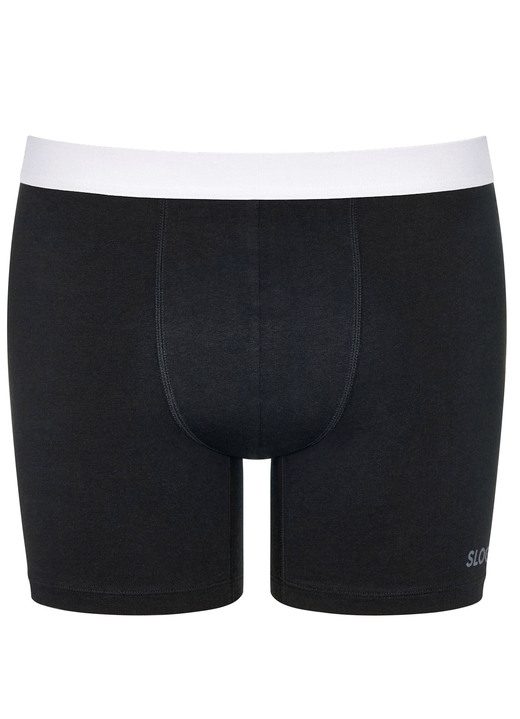 Pants & Boxershorts - Sloggi, Zweierpack Pants mit Elastikbund, in Größe L bis XXL, in Farbe SCHWARZ Ansicht 2