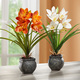 Kunst- & Textilpflanzen - Cymbidium-Orchidee im Zementtopf, in Farbe ORANGE – Farbe ORANGE – Ansicht 2