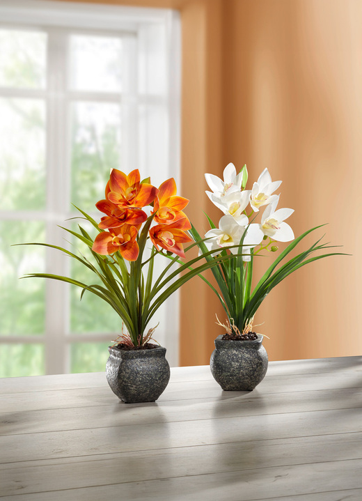 Kunst- & Textilpflanzen - Cymbidium-Orchidee im Zementtopf, in Farbe ORANGE Ansicht 2
