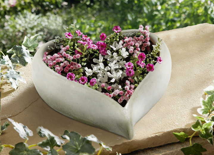 Blumentöpfe & Pflanzgefäße - Pflanz- oder Dekoschale aus wetterfestem Zementguß, in Farbe GRAU