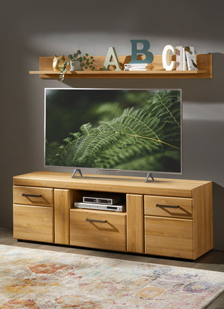 TV-Longboard mit Wandboard