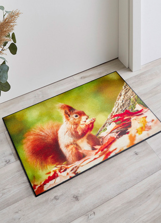 Fußmatte mit Eichhörnchen-Motiv