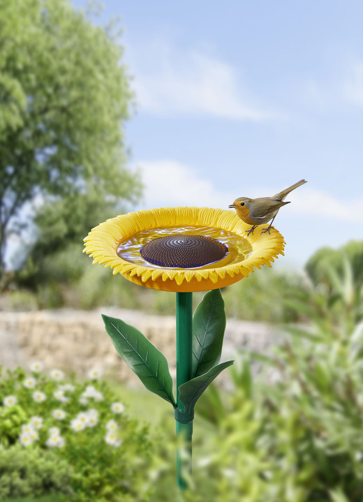 - Futterstelle/Tränke 