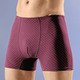 Pants & Boxershorts - Dreierpack Pants mit Dehnbund, in Größe 005 bis 011, in Farbe 2X MARINE, 1X BORDEAUX – Farbe 2X MARINE, 1X BORDEAUX – Ansicht 2