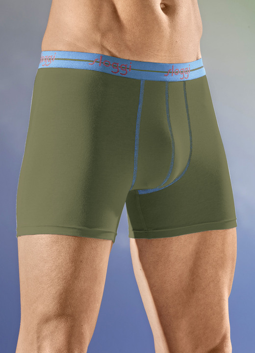 Pants & Boxershorts - Sloggi Zweierpack Pants mit Elastikbund, in Größe 004 bis 008, in Farbe 1X BLAU, 1X OLIV Ansicht 2