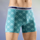 Pants & Boxershorts - Viererpack Pants mit Elastikbund, in Größe 004 bis 010, in Farbe 2X PETROL, 2X MARINE-GELB – Farbe 2X PETROL, 2X MARINE-GELB – Ansicht 1