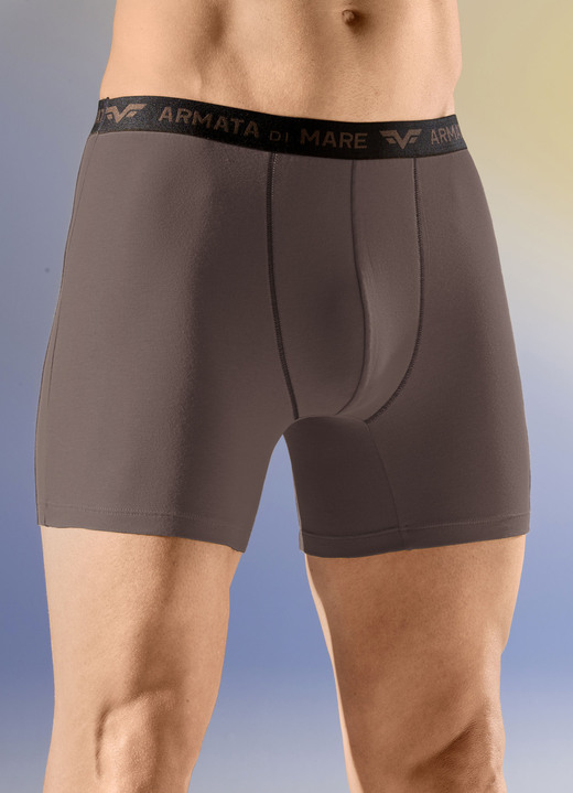 Pants & Boxershorts - Viererpack Pants mit Elastikbund, in Größe 004 bis 011, in Farbe 2X OCKER, 2X BRAUN Ansicht 2