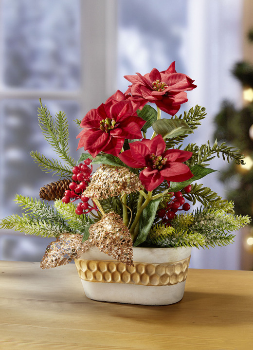 - Poinsettia-Arrangement in Schale, in Farbe ROT-GRÜN