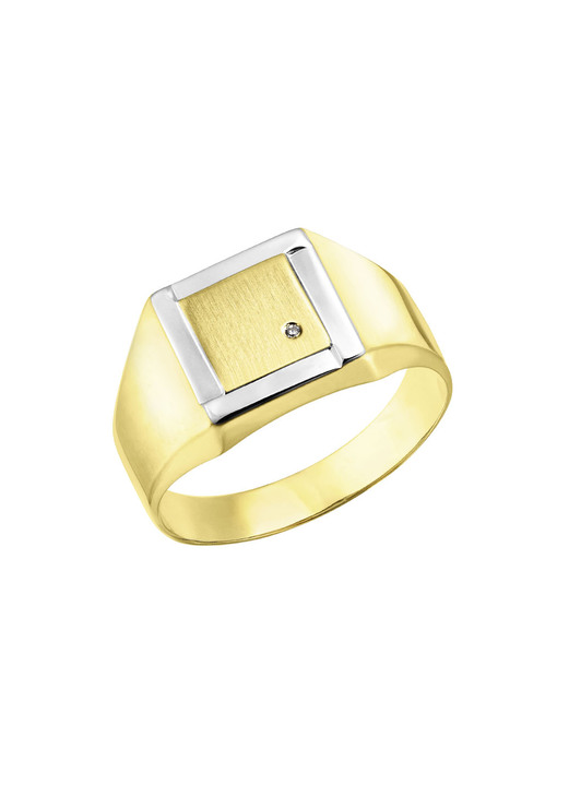 Ringe - Herrenring in Bicolor-Design, in Größe 180 bis 240, in Farbe  Ansicht 2