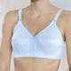 Soft-BH - Format BH mit unterlegten Spitzencups, in Größe 075 bis 110, in Cup A, in Farbe WEISS – Farbe BLEU – Ansicht 2