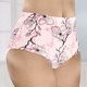 Slips - brio lingerie Viererpack Slips mit hübschem Floraldessin, in Größe 038 bis 054, in Farbe MINT-NAVY-TÜRKISGRÜN – Farbe ROSÉ-KORALLE-SCHWARZ – Ansicht 1