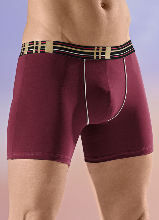 Pants & Boxershorts - Viererpack Pants mit Elastikbund, in Größe 005 bis 011, in Farbe 2X INDIGOBLAU, 2X BORDEAUX Ansicht 2