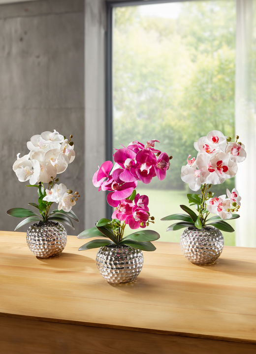 Kunst- & Textilpflanzen - Orchidee Phalaenopsis in Keramikschale, in Farbe ROSA-WEISS Ansicht 2