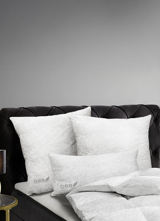 Erstklassiges Daunen-Kissen in Jacquard-Paisley-Optik