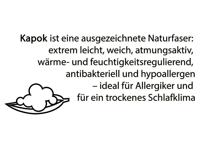 Bettwaren - Bettwarenprogramm von Irisette mit Kapok-Fasern, in Größe 103 (Decke, 135/200 cm) bis 121 (Kissen, 40/80 cm), in Farbe WEISS, in Ausführung Kissen Ansicht 2