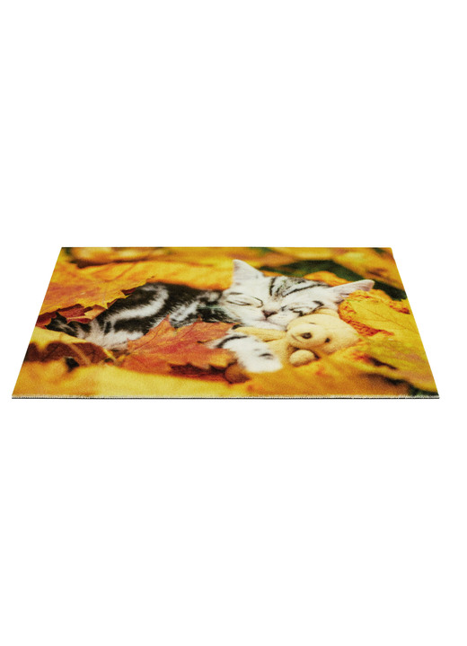 Fußmatten - Fußmatte mit rutschhemmender Rückseite, in Farbe BUNT Ansicht 2