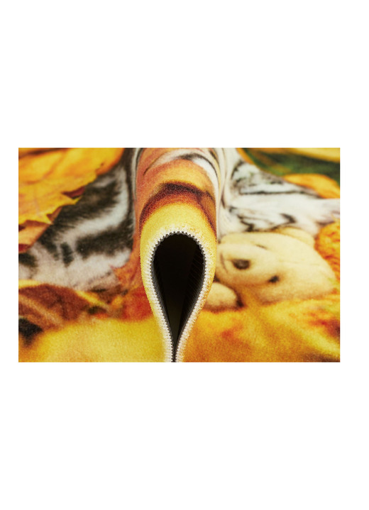 Fußmatten - Fußmatte mit rutschhemmender Rückseite, in Farbe BUNT Ansicht 3