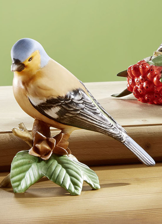 Figuren - Vogel-Figuren aus hochwertigem Biskuitporzellan, in Farbe BUNT, in Ausführung Buchfink Ansicht 1