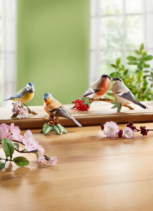 Figuren - Vogel-Figuren aus hochwertigem Biskuitporzellan, in Farbe BUNT, in Ausführung Blaumeise Ansicht 2