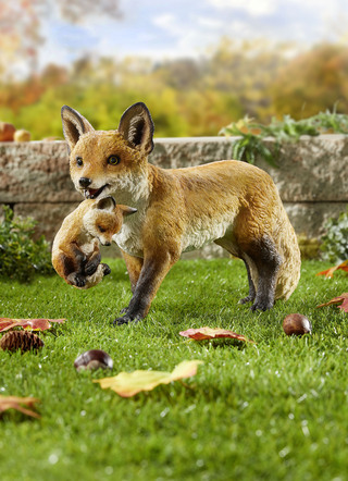 Fuchs mit Jungem