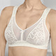 Soft-BH - BH aus elastischer Spitze – Farbe SEKT – Ansicht 1 Soft-BH - BH aus elastischer Spitze, in Größe 080 bis 105, in Cup B, in Farbe SEKT – Farbe SEKT – Ansicht 1