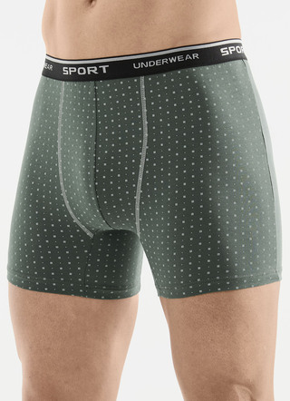 Dreierpack Pants mit Alloverdessin
