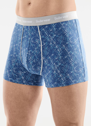 Dreierpack Pants mit Alloverdruck