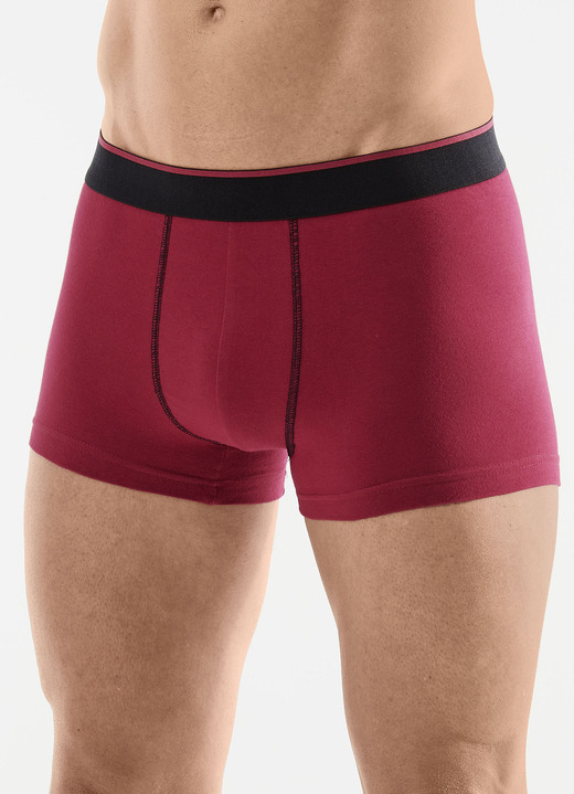 Pants & Boxershorts - Viererpack Pants mit Elastikbund, in Größe L (6) bis XXL (8), in Farbe 1X WEINROT, 1X SMARAGD, 1X SCHWARZ, 1X SCHIEFER Ansicht 1