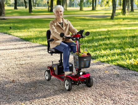 4-Rad-Roller von Rolektro
