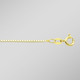 Halsketten - Vergoldete Veneziakette aus Silber – Ansicht 1 Halsketten - Vergoldete Veneziakette aus Silber, in Farbe  – Ansicht 1