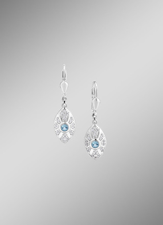 Strahlende Akzente – Exquisite Ohrringe aus Silber