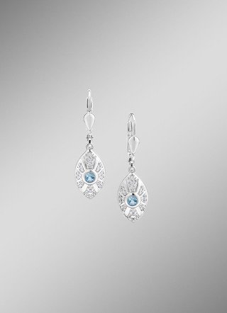 Strahlende Akzente – Exquisite Ohrringe aus Silber