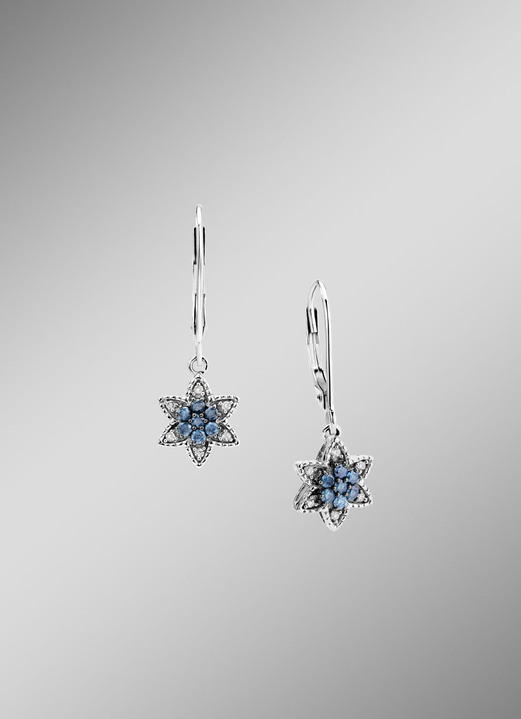 Ohrschmuck - Ohrringe , in Farbe  Ansicht 1