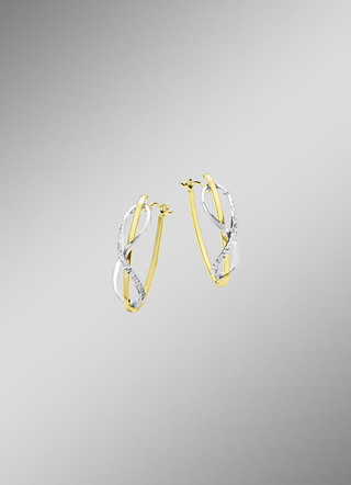 Creolen in Bicolor