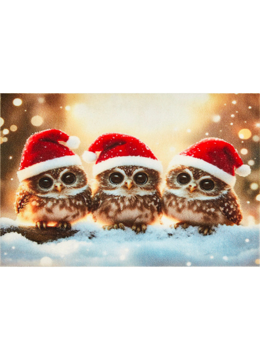 Fußmatten - Fußmatte mit rutschhemmender Gummi-Rückseite, in Farbe BUNT Ansicht 2