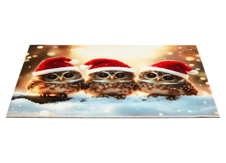 Fußmatten - Fußmatte mit rutschhemmender Gummi-Rückseite, in Farbe BUNT Ansicht 3