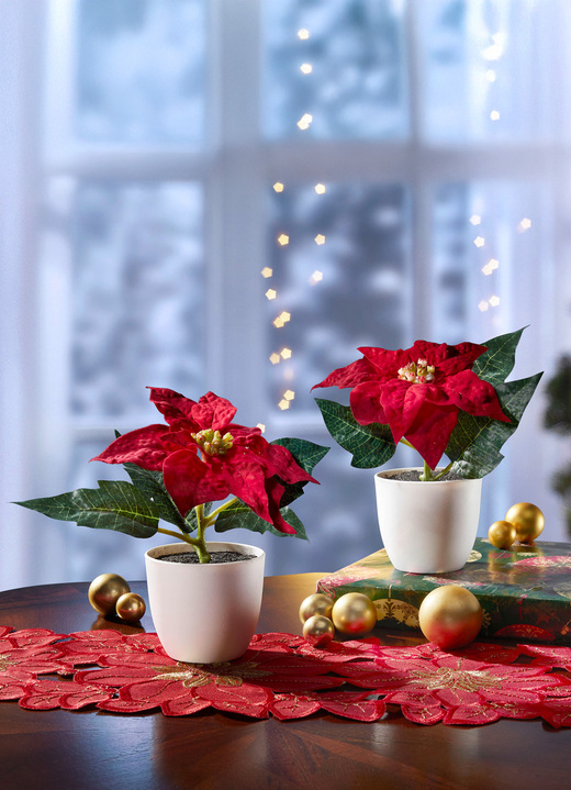 Gestecke & Kränze - Mini-Poinsettia-Blüten im Topf, 2er-Set, in Farbe ROT