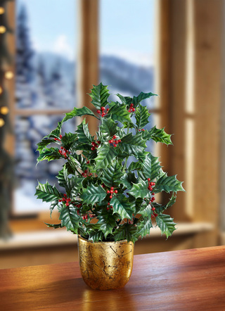 Ilex-Gesteck im Topf