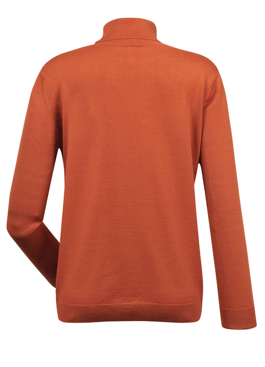 Basics - Pullover in Feinstrick, in Größe 038 bis 052, in Farbe MAISGELB Ansicht 5